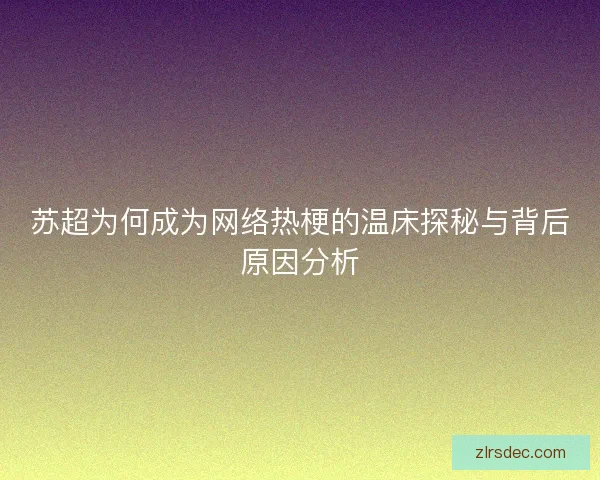 苏超为何成为网络热梗的温床探秘与背后原因分析